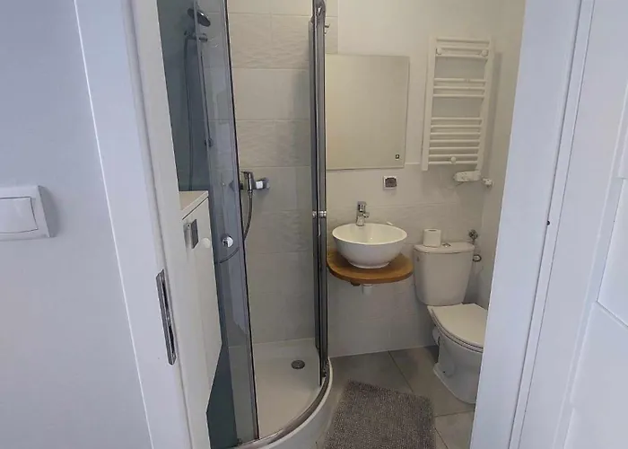 Проживание в семье Fiesta *