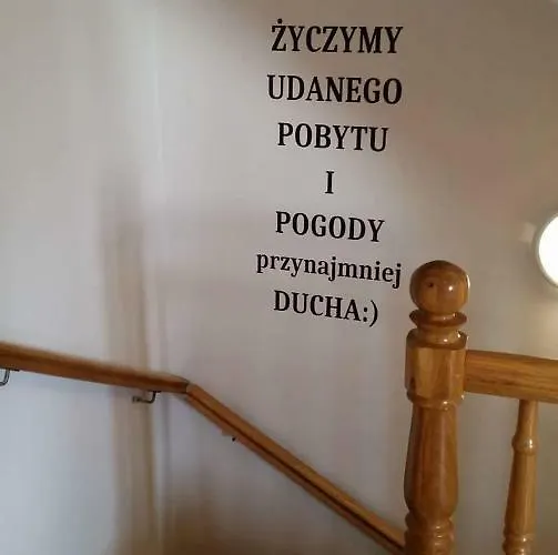 Проживание в семье Fiesta *