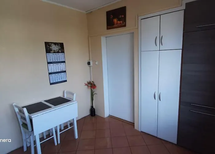 Проживание в семье Fiesta *